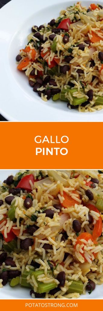 Gallo Pinto Vegan No Oil